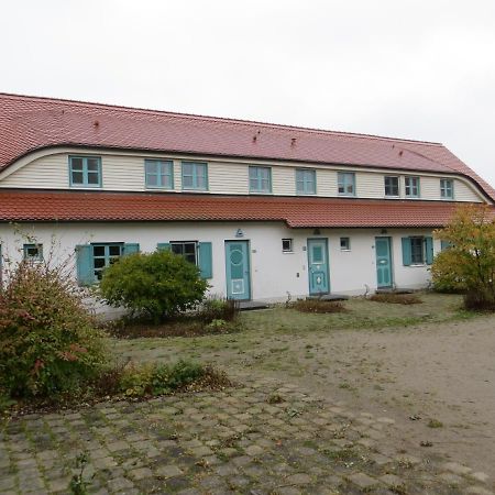 Bernsteinnixe Dranske Luaran gambar